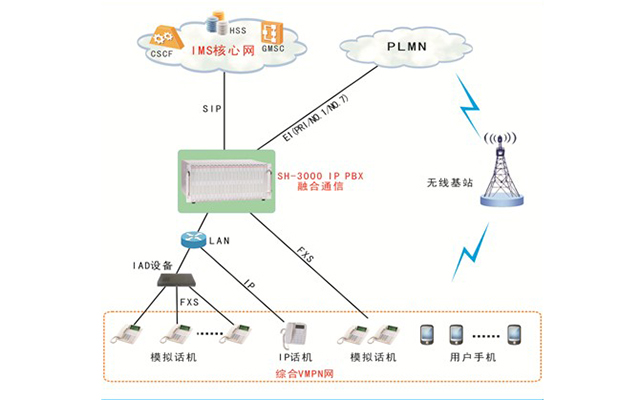 中大型企業綜合VPMN方案