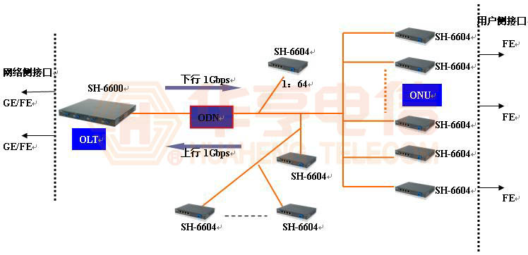 SH-6600EPON產品(圖2)